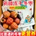 去核圆枣脆干燥脱水原味水果干大包网红零食冻干一件代发包邮