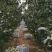 玉露香梨自己种植大量供货对接全国市场电商商超来电