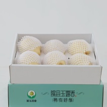 精品酥梨大量供货脆甜多汁核小无渣支持视频看货欢迎来