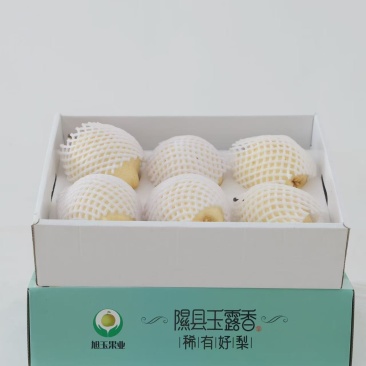 精品酥梨大量供货脆甜多汁核小无渣支持视频看货欢迎来