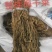浙江慈溪余姚梅干菜大量供应，一手货源，价格便宜