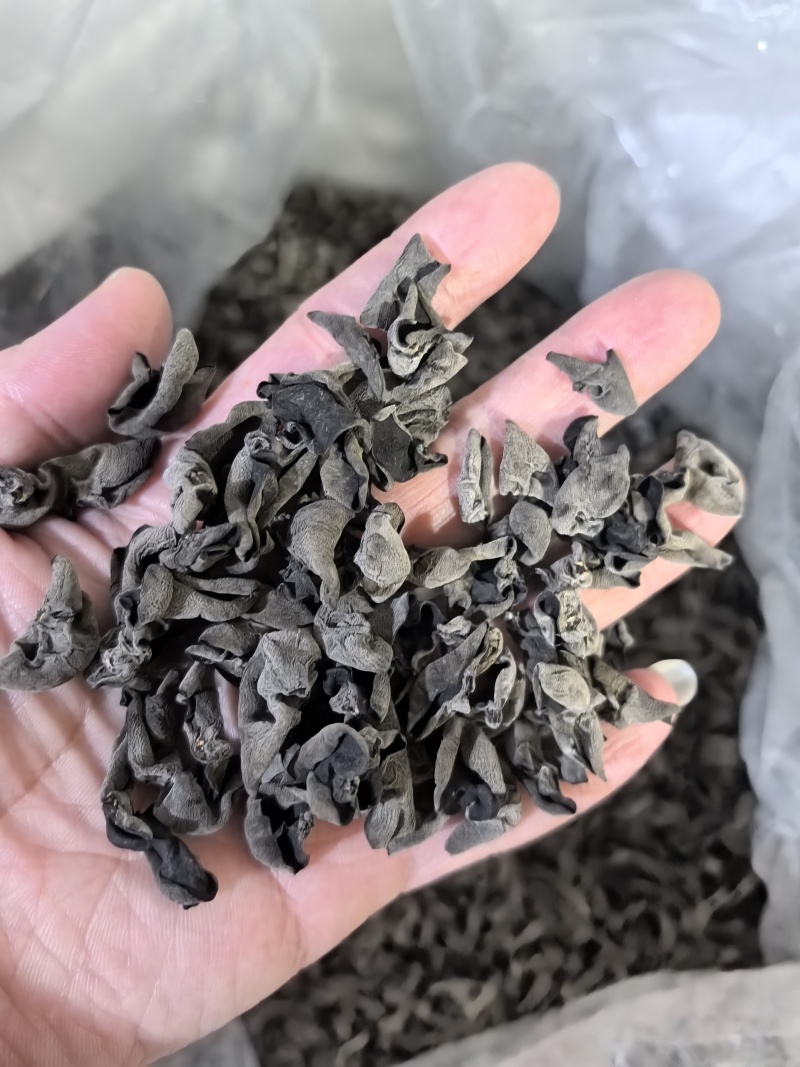 一级黑木耳老鼠耳量大运费商议请按购买数量拍否则不发货谢谢