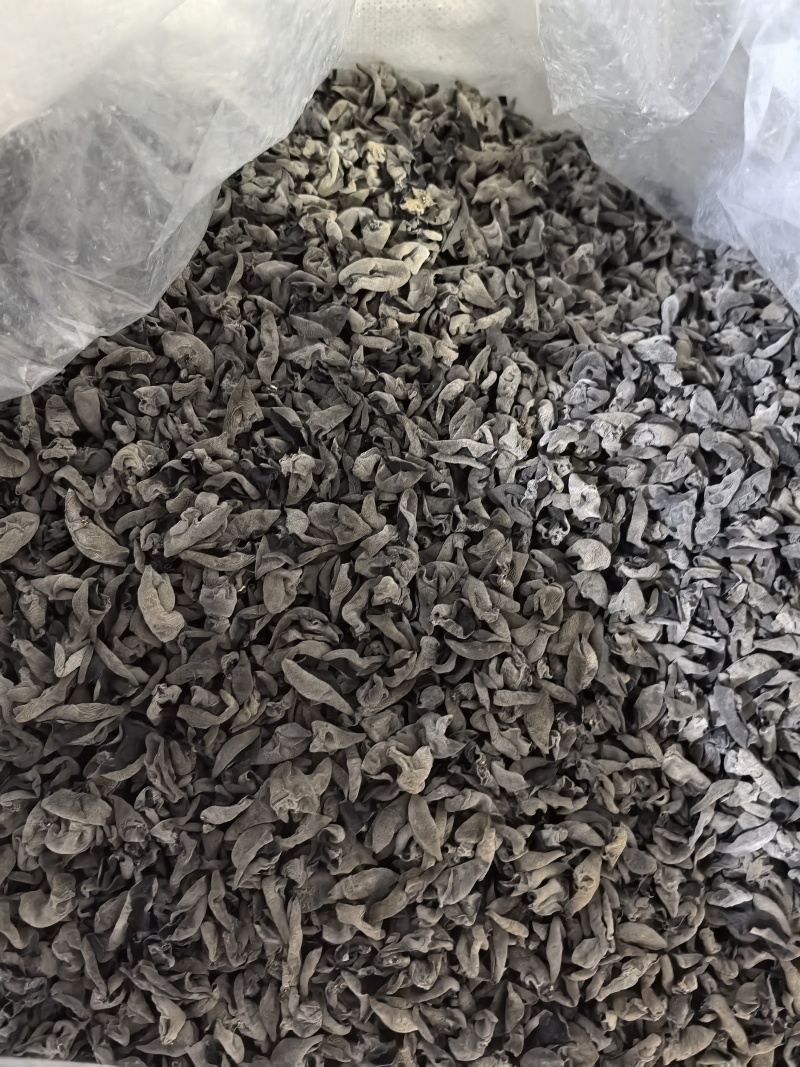 一级黑木耳老鼠耳量大运费商议请按购买数量拍否则不发货谢谢