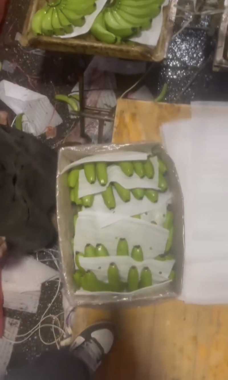 香蕉，产地直发，大量有货，欢迎各位老板咨询采购