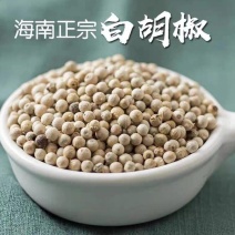 精品白胡椒，海南货源，两斤起售，支持免费打粉，欢迎咨询。