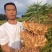 生姜云南产区直发保质保量供货对接全国