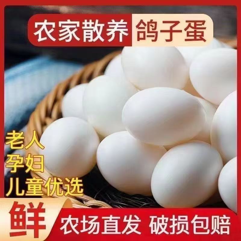 鸽子蛋