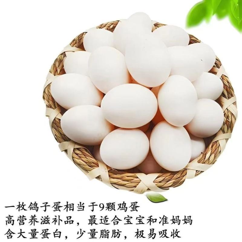 鸽子蛋
