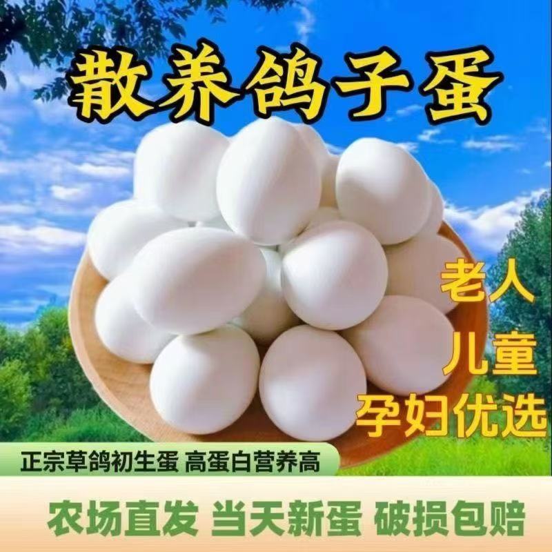鸽子蛋