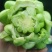 榨菜头