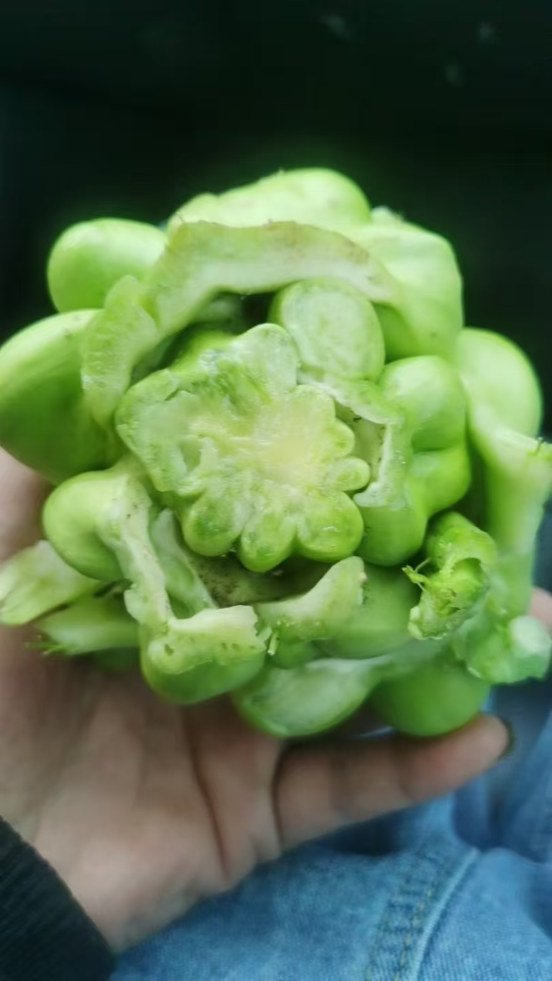 榨菜头