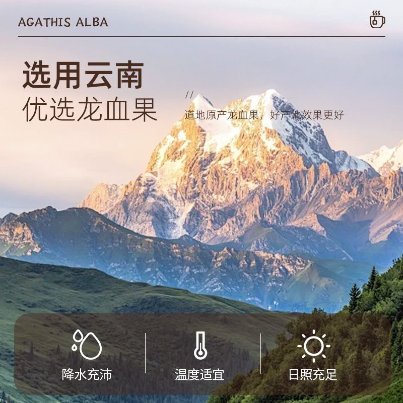云南龙血果深山黑老虎鲜果茶独立包装养生茶一件代发包邮