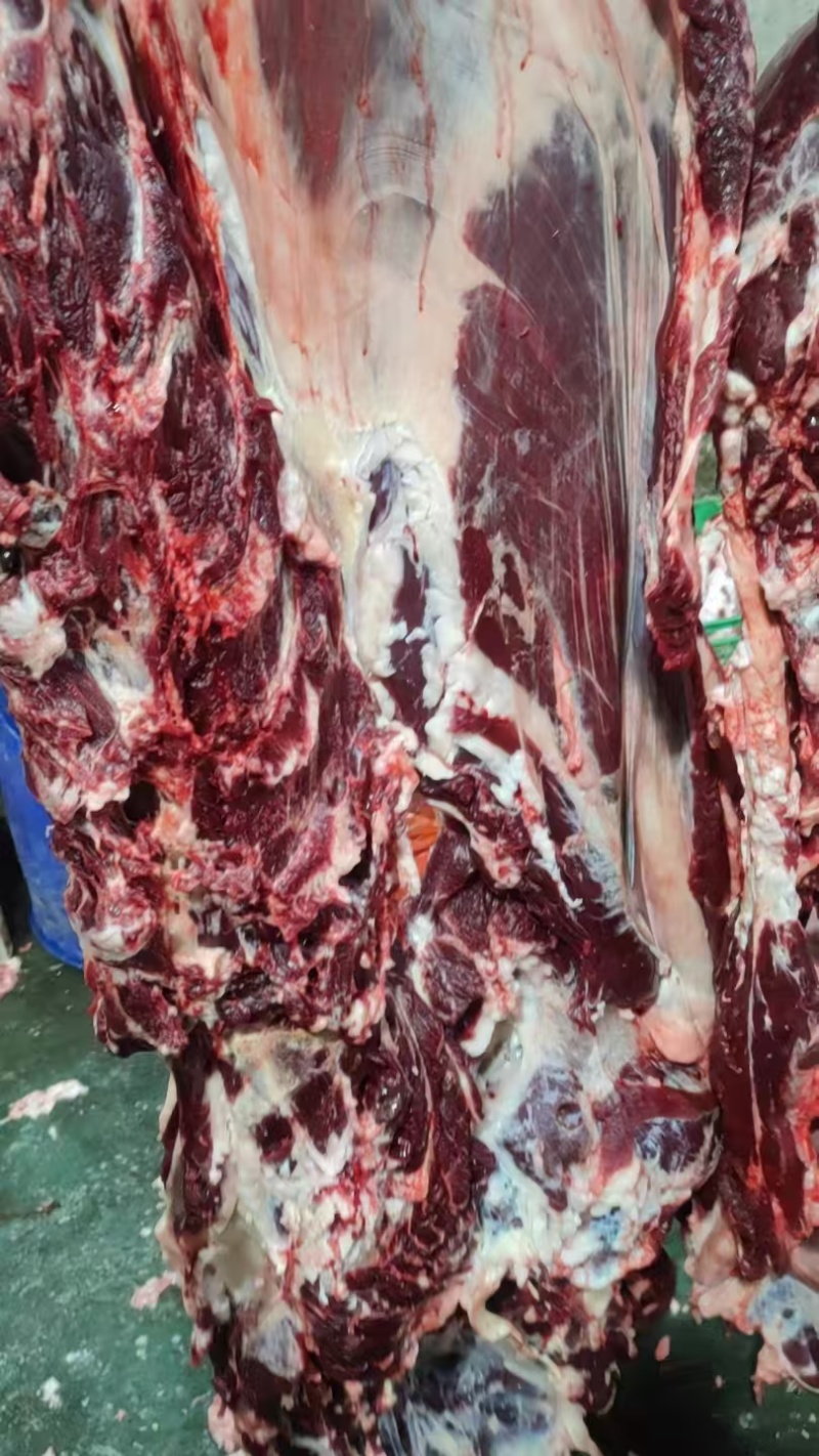 纯干精品黄牛肉，一手货源，品质保证，量大从优，可视频看货