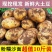 黄心土豆新鲜新土豆黄皮土豆批发价洋芋马铃薯黄肉土豆批发5
