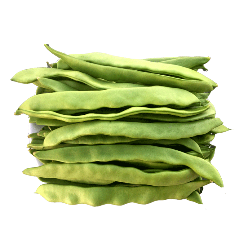 云南现摘扁豆刀豆当季现摘新鲜蔬菜产地直发一手货源包邮