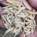 野生去皮高含量麦冬