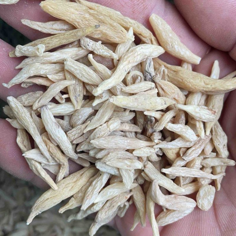 野生去皮高含量麦冬