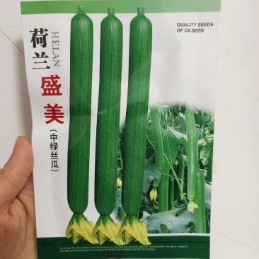 荷兰盛美油亮长丝瓜种籽高产耐寒早熟油亮中绿大田基地品种