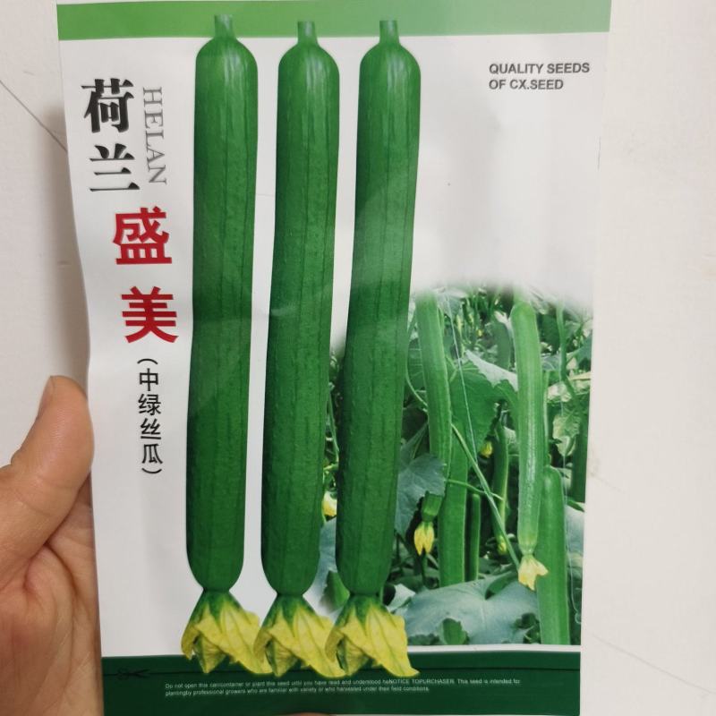 荷兰盛美油亮长丝瓜种籽高产耐寒早熟油亮中绿大田基地品种