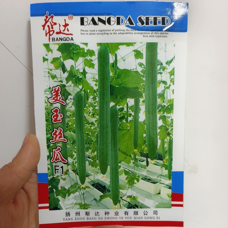 荷兰盛美油亮长丝瓜种籽高产耐寒早熟油亮中绿大田基地品种