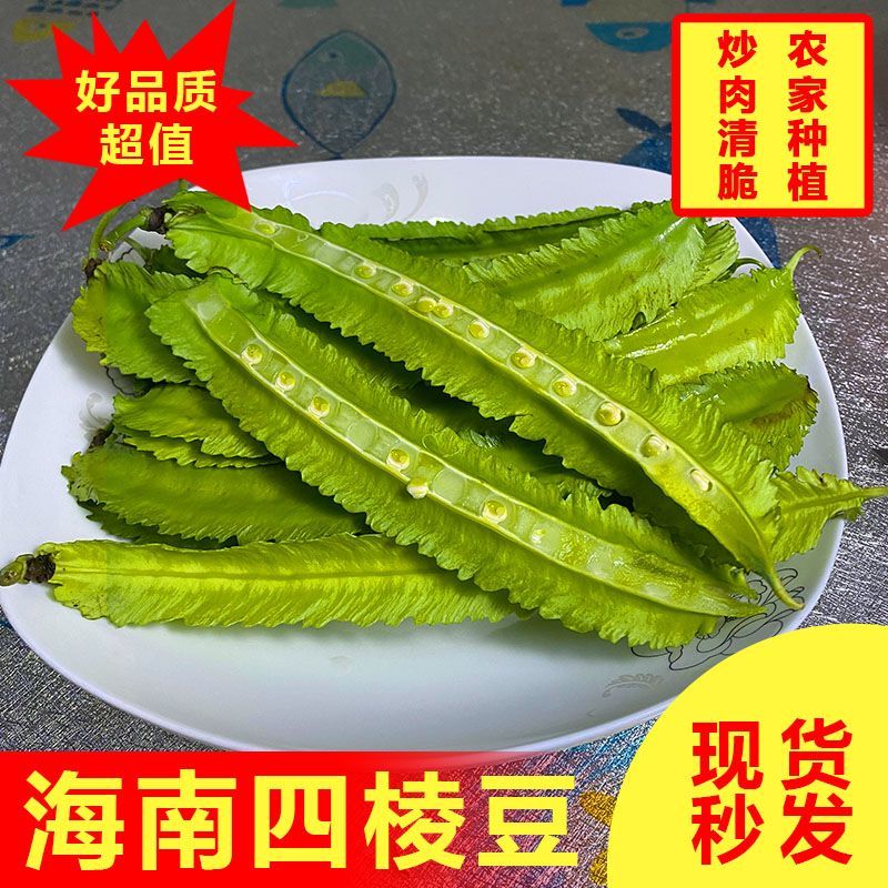 海南四角豆蔬菜新鲜当季时令龙角豆皇帝豆四季豆四棱豆整箱包