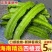 海南四角豆蔬菜新鲜当季时令龙角豆皇帝豆四季豆四棱豆整箱包