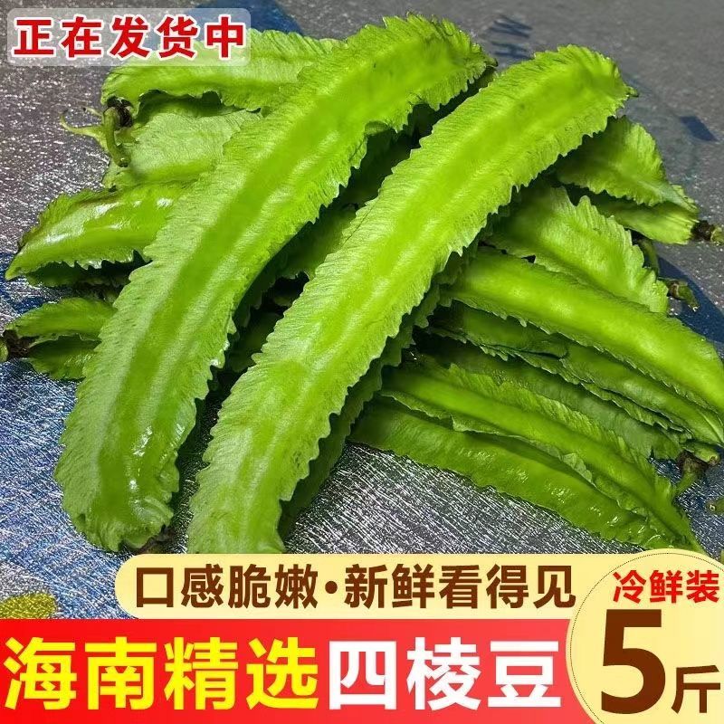 海南四角豆蔬菜新鲜当季时令龙角豆皇帝豆四季豆四棱豆整箱包