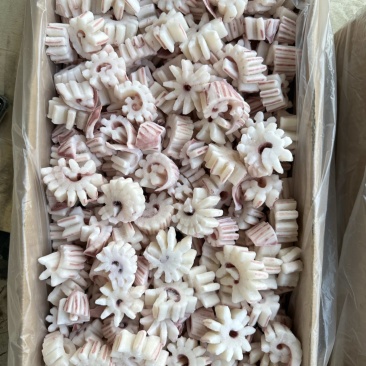 纯干齿轮花（鱿鱼花），6斤一件，无冰衣，口感脆，