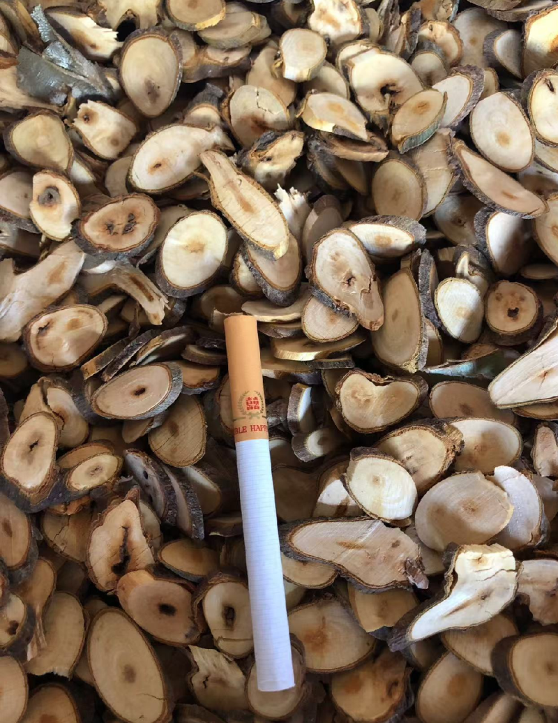 桂枝尖，精品桂枝尖广西货，无流需要的老板直接下单，不包邮