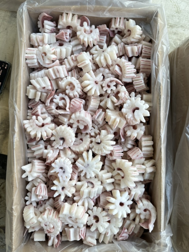 纯干齿轮花（鱿鱼花），6斤一件，无冰衣，口感脆，