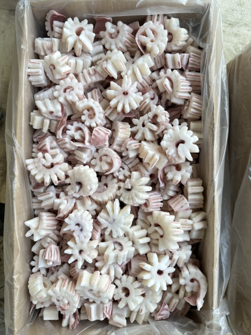 纯干齿轮花（鱿鱼花），6斤一件，无冰衣，口感脆，