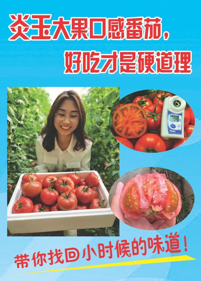 炎玉番茄种子大果水果番茄种子草莓番茄种子粉果西红柿种子