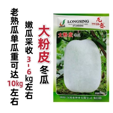 大粉皮冬瓜种子白皮冬瓜种子有白色蜡粉粉皮大冬瓜种子10克
