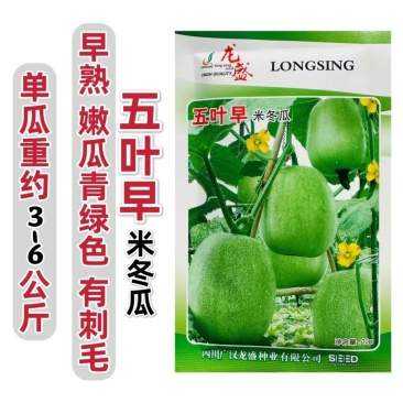 龙盛五叶早米冬瓜种子早熟圆柱形厚肉耐贮运绿皮冬瓜蔬菜种籽