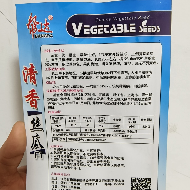 油绿丝瓜种子短棒油皮丝瓜种籽早熟高产耐寒春秋油丝瓜油绿