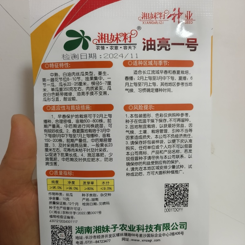 油绿丝瓜种子短棒油皮丝瓜种籽早熟高产耐寒春秋油丝瓜油绿