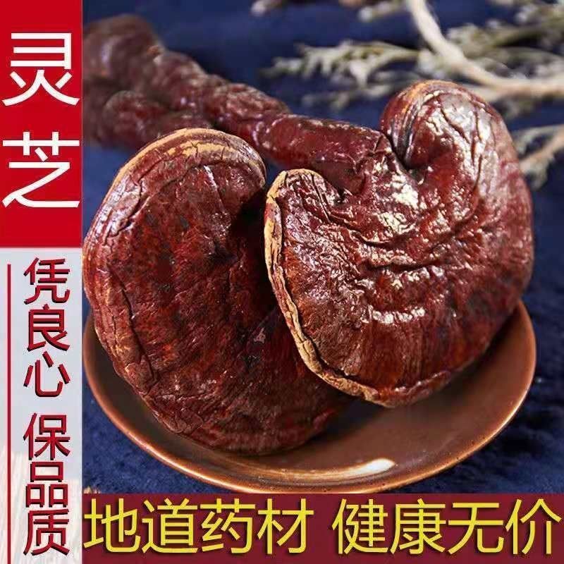 【灵芝】灵芝产地直供物美价廉产地直供