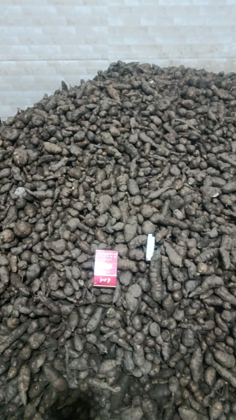 三叶青货源充足量大从优质量保证欢迎咨询