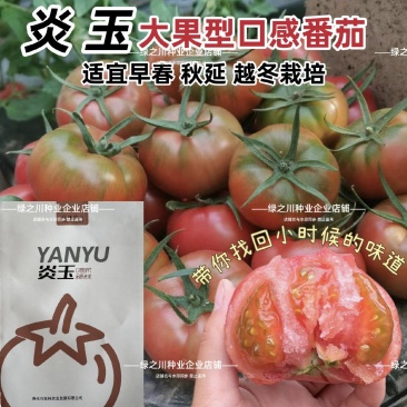 炎玉番茄种子大果水果番茄种子草莓番茄种子粉果西红柿种子
