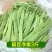 云南现摘扁豆绿扁豆当季扁豆现摘新鲜蔬菜产地直发包邮