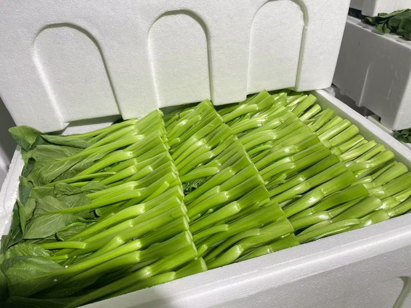 新鲜菜苔甜菜心，健康，营养丰富，口感鲜美，适合炒菜和清蒸