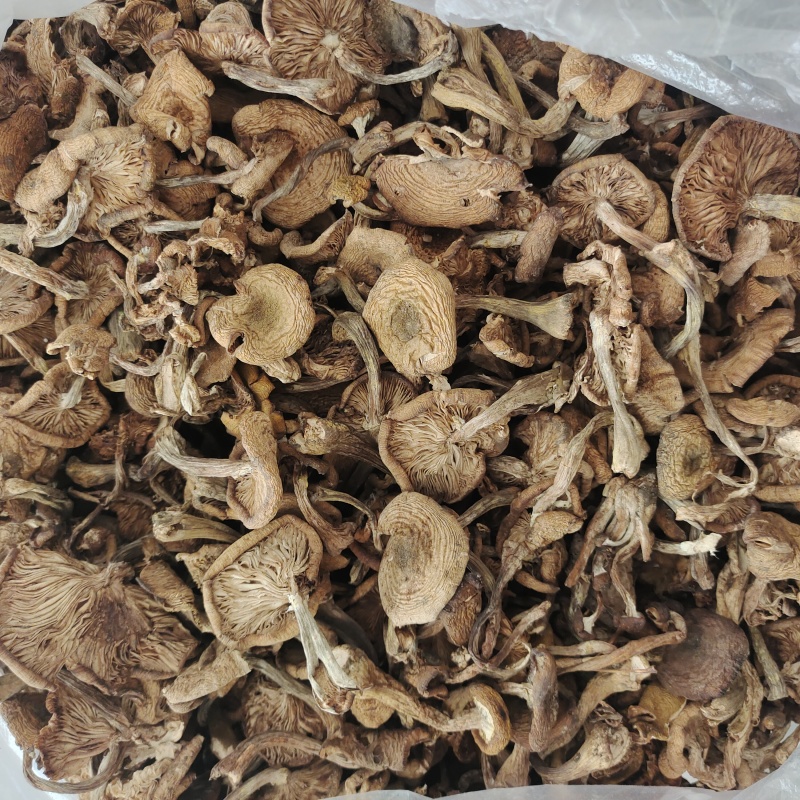 东北特产野生干榛蘑新鲜自然晾晒一等品干货小鸡炖蘑菇无杂质