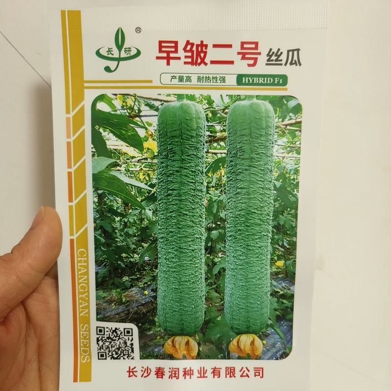 皱皮丝瓜种子长沙农科院早皱二号丝瓜种子耐热强产量高褶皱明