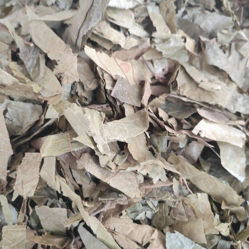 【布渣叶】布渣叶量大从优物美价廉产地直供