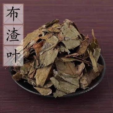 【布渣叶】布渣叶量大从优物美价廉产地直供