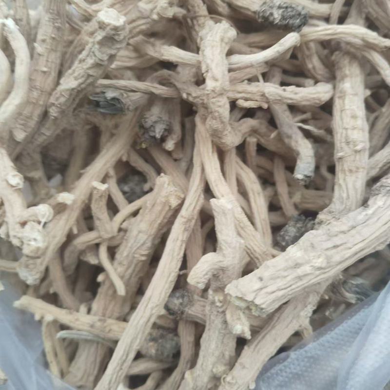 中药材北板蓝根