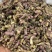 【款冬花】款冬花统货物美价廉产地直供
