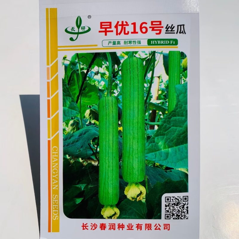 春润油靓丝瓜种子口感好油绿短棒早熟高产商品性佳农家春秋播