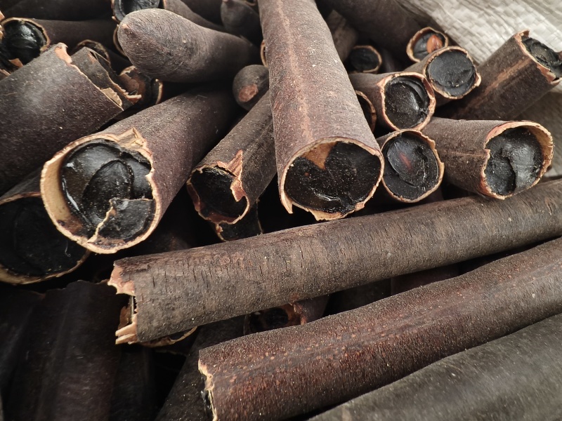 便秘果新便秘果切断腊肠果品质保障假一赔十