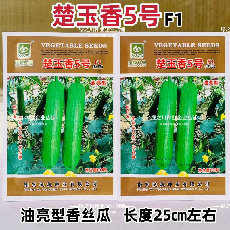 楚玉香5号丝瓜种子早熟一代杂交种油亮型丝瓜种子短棒香丝瓜